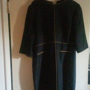 Adriana  Papell silk dress